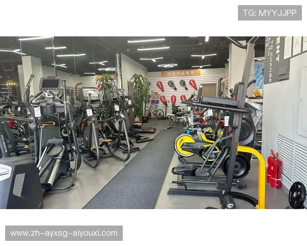 活力美健身器材品牌及用户评价
